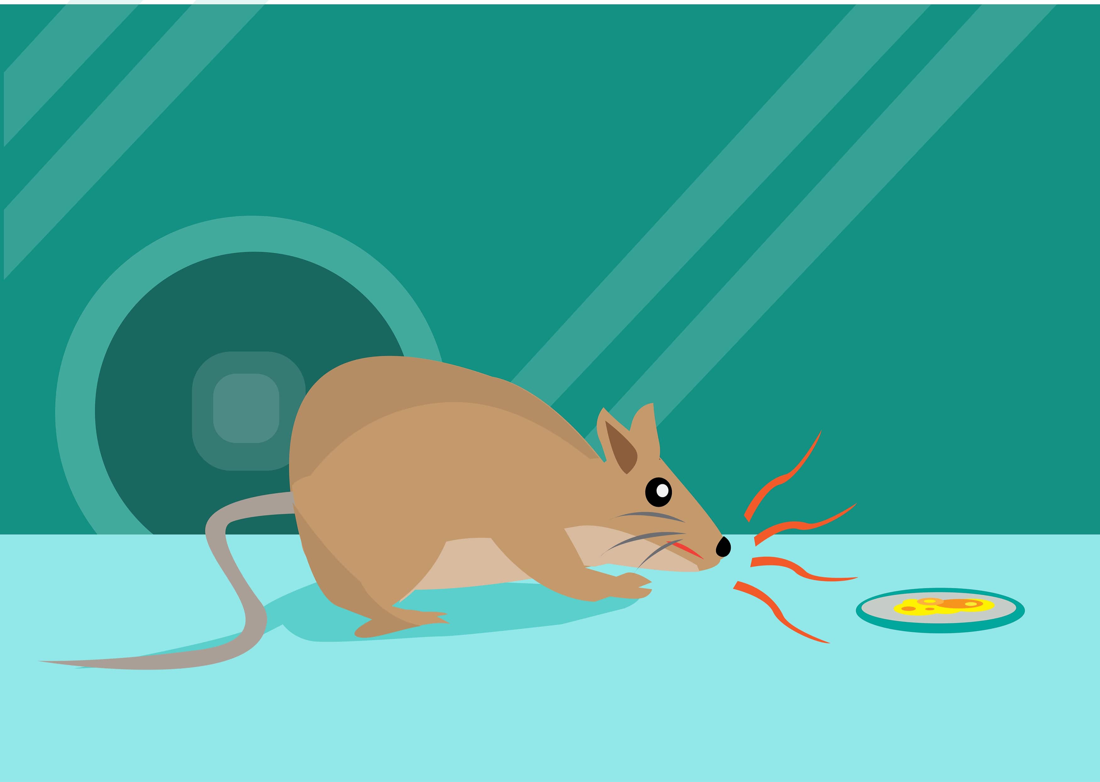 Fosfuro di zinco nel veleno per topi: come funziona?